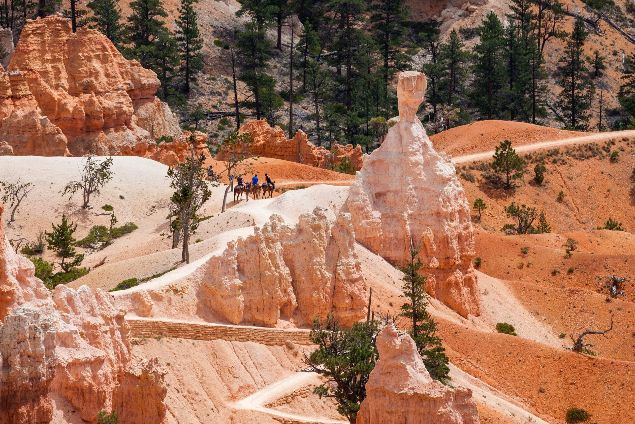 Top Travel Destinations in Utah