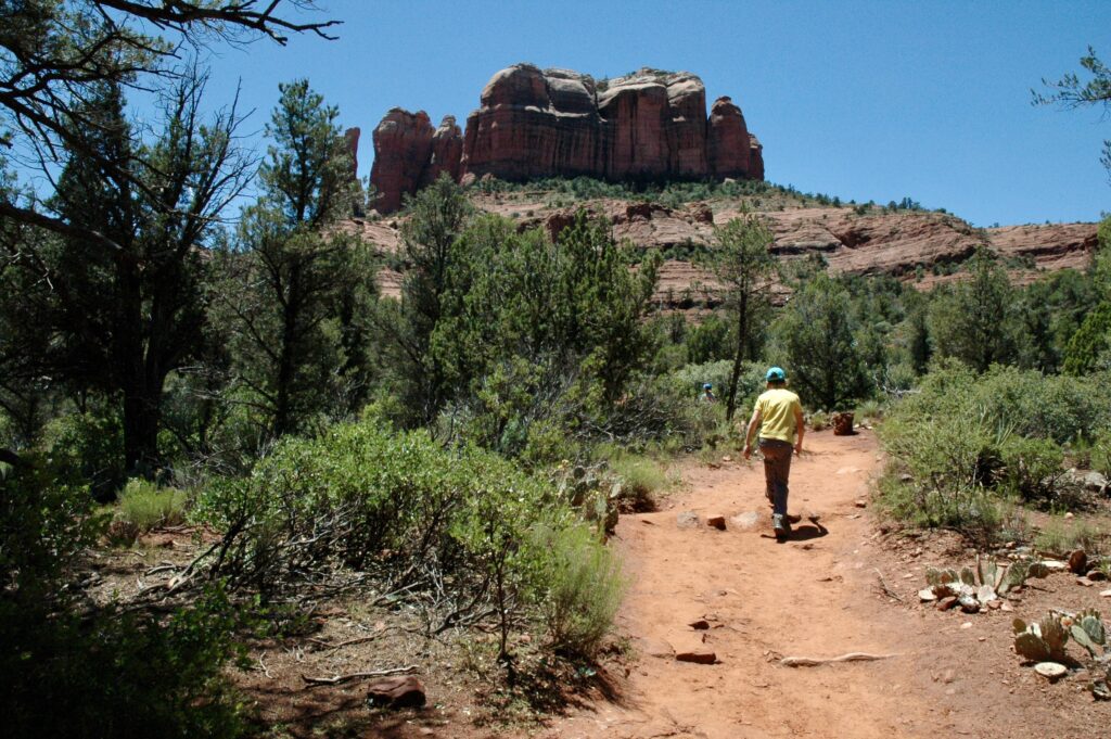 Lower lightly forested section of the Cathedral Rock hike in Sedona, Arizona.